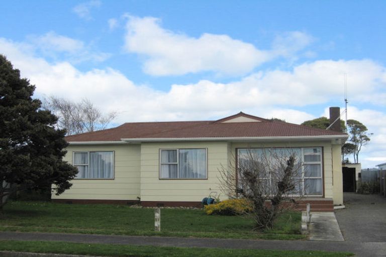 Photo of property in 55 Strathmore Avenue, Levin, 5510