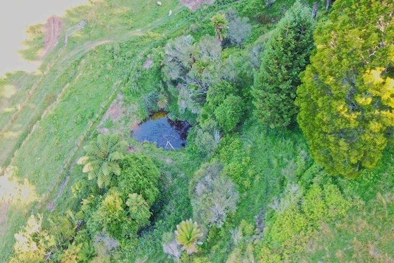 Photo of property in 822 Motukawa Road, Tarata, Inglewood, 4387