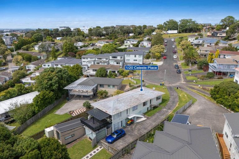 Photo of property in 1/20 Celeste Place, Totara Vale, Auckland, 0627