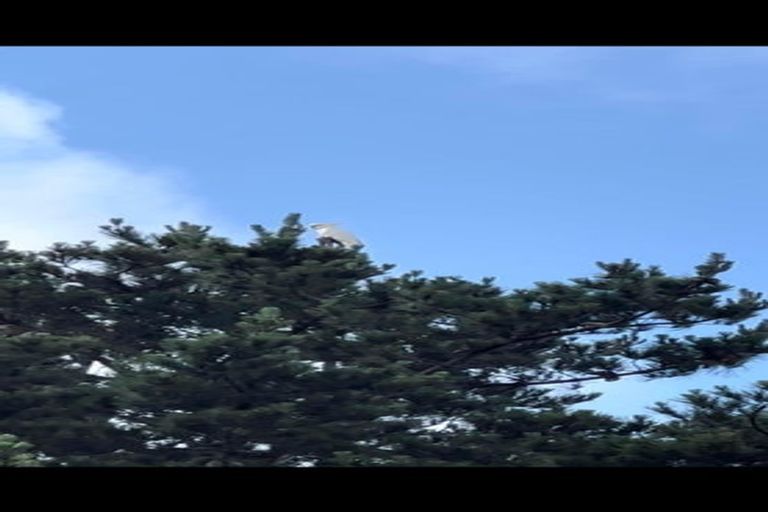 Photo of property in 1314 Wairamarama Onewhero Road, Onewhero, Tuakau, 2697