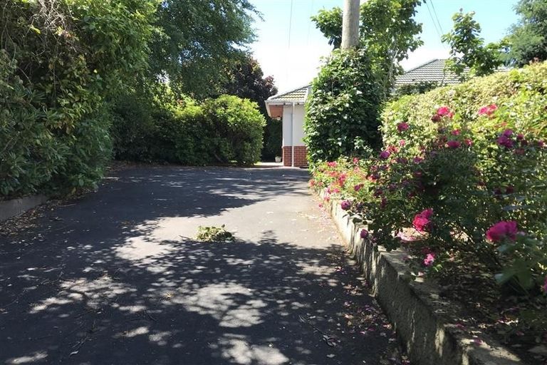 Photo of property in 5 Leven Street, Roslyn, Dunedin, 9010