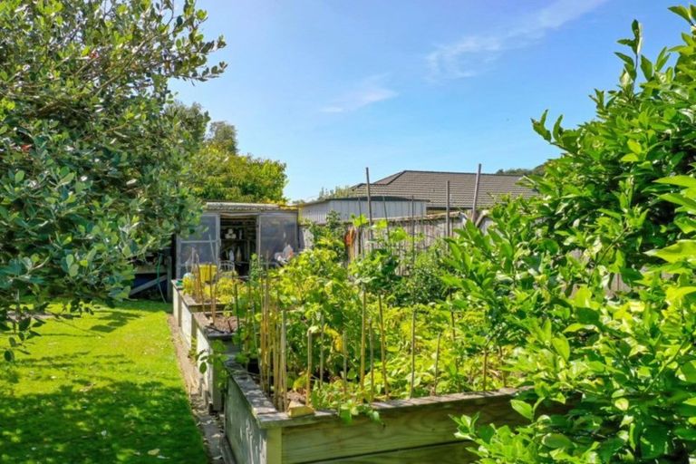 Photo of property in 50 Harbour Road, Ohope, 3121