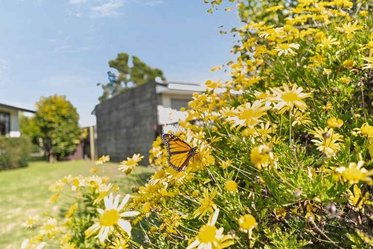Photo of property in 2 Desmond Place, Bell Block, New Plymouth, 4312