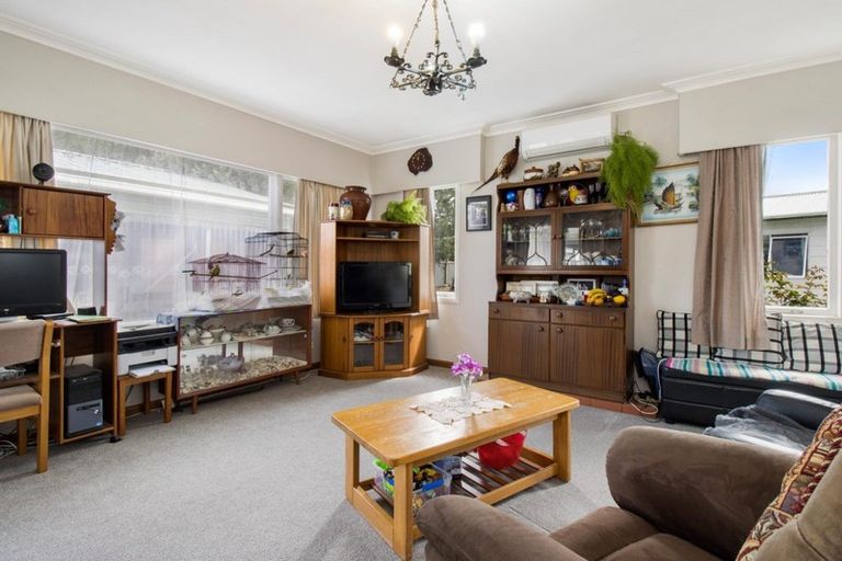 Photo of property in 31 Bradford Street, Waihi, 3610