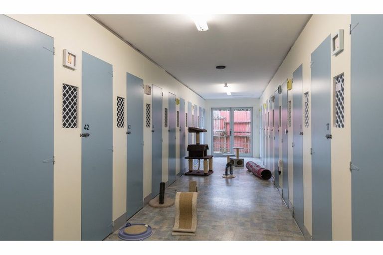 Photo of property in 138 White Road, Hope, Richmond, 7081