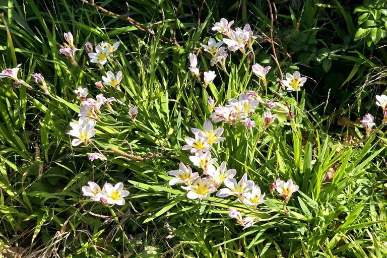 Photo of property in 20 Scotland Street, Picton, 7220