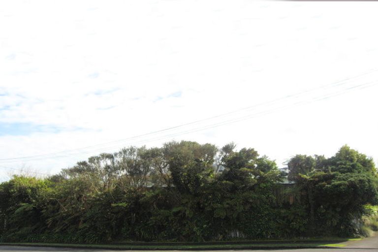 Photo of property in 11 Horne Street, Hurdon, New Plymouth, 4310