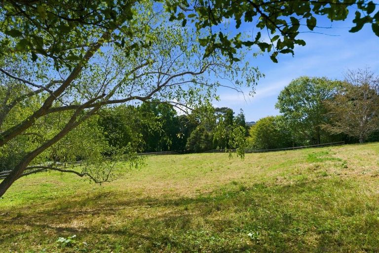 Photo of property in 39 Robinson Road, Whitianga, 3510