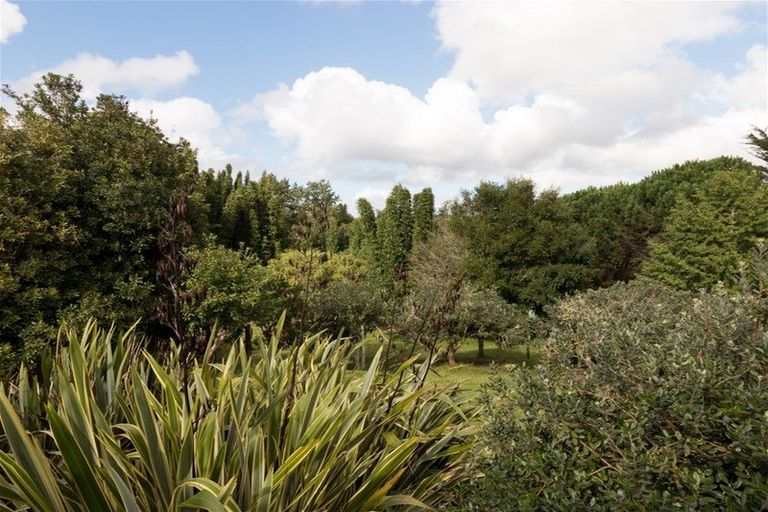 Photo of property in 33 Settlement Road, Kawakawa, 0210
