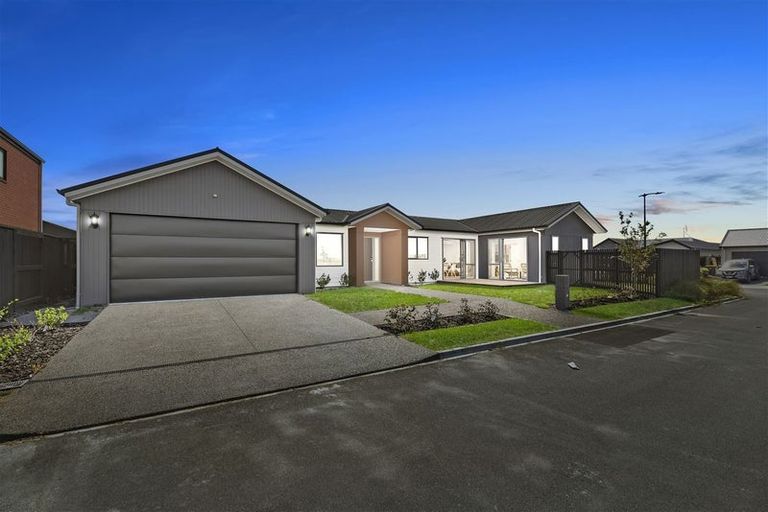 Photo of property in 31 Couldsack Avenue, Chartwell, Hamilton, 3210