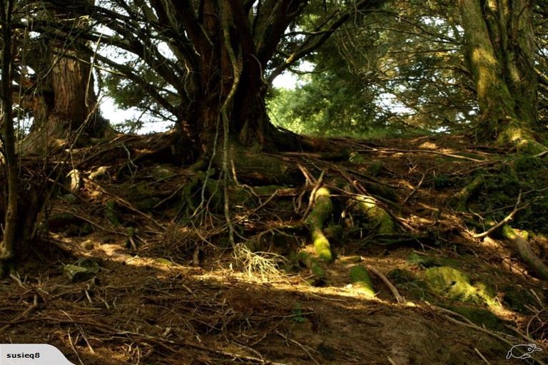 Photo of property in 51 Valley Road, Manunui, Taumarunui, 3924