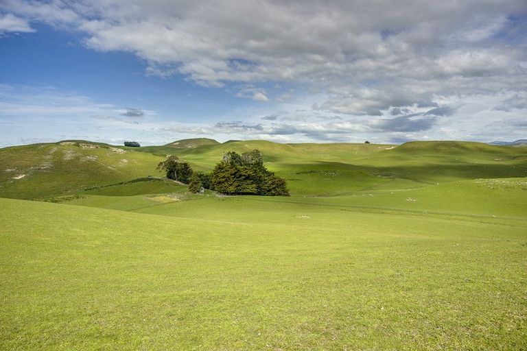 Photo of property in 210 Ongaonga Road, Waipawa, 4272