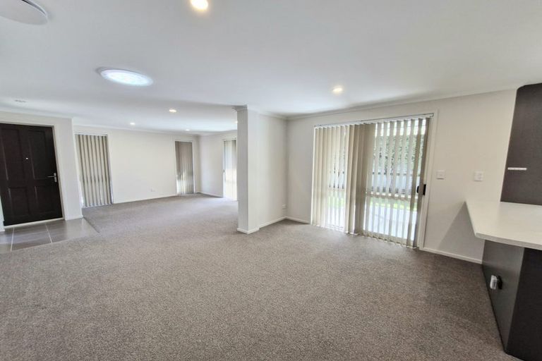 Photo of property in 217b Maungatapu Road, Maungatapu, Tauranga, 3112