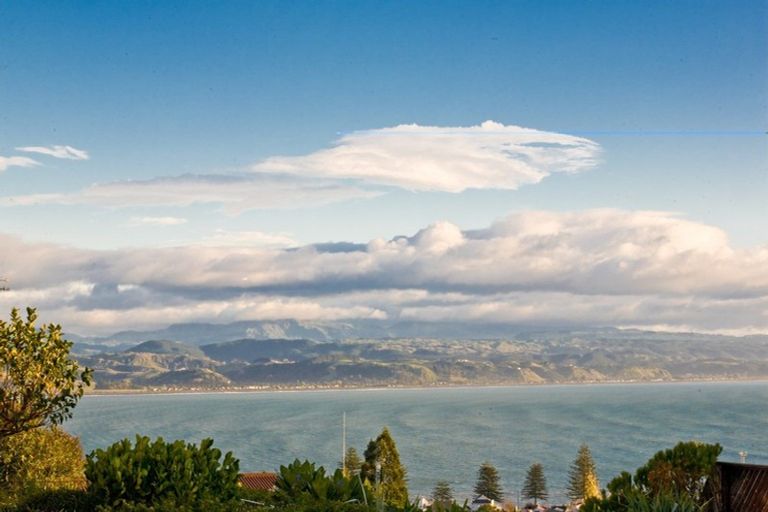 Photo of property in Mchardy Homestead, 11 Bracken Street, Hospital Hill, Napier, 4110