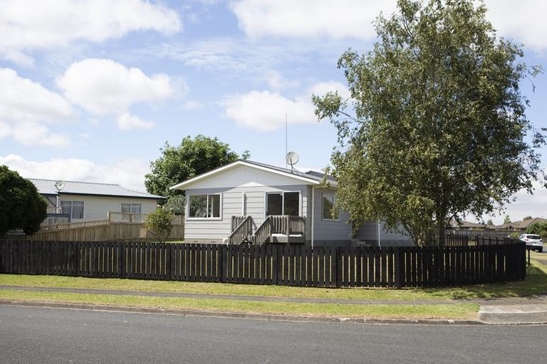 Photo of property in 161 Pollard Drive, Te Awamutu, 3800