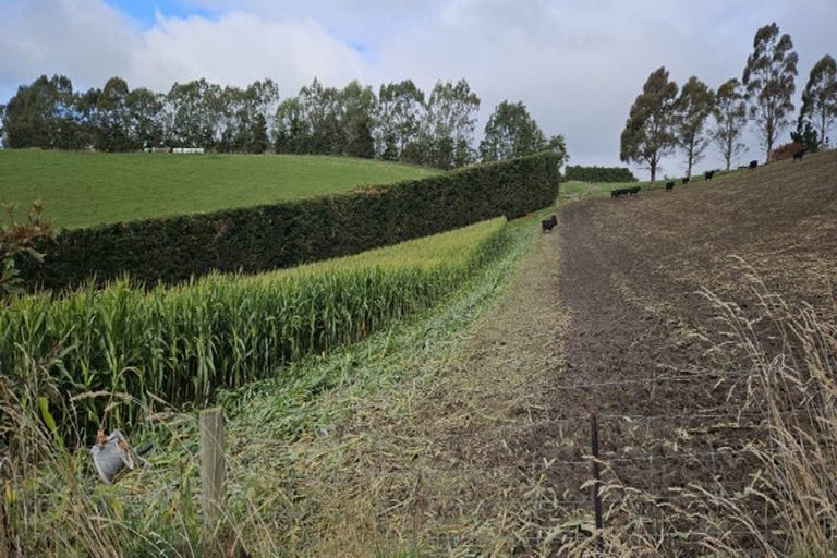 Photo of property in 420 Dunrobin Road, Fuchsia Creek, Oamaru, 9491