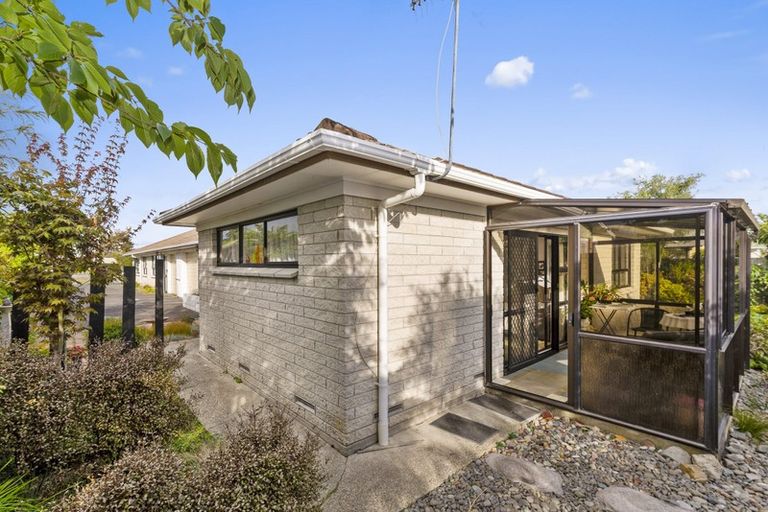 Photo of property in 27b Phillip Street, Victoria, Rotorua, 3010