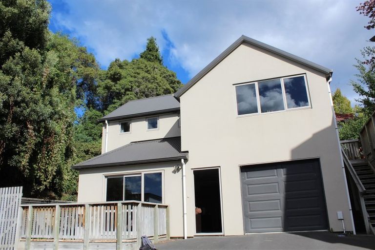 Photo of property in 45b Lees Street, Dunedin Central, Dunedin, 9016