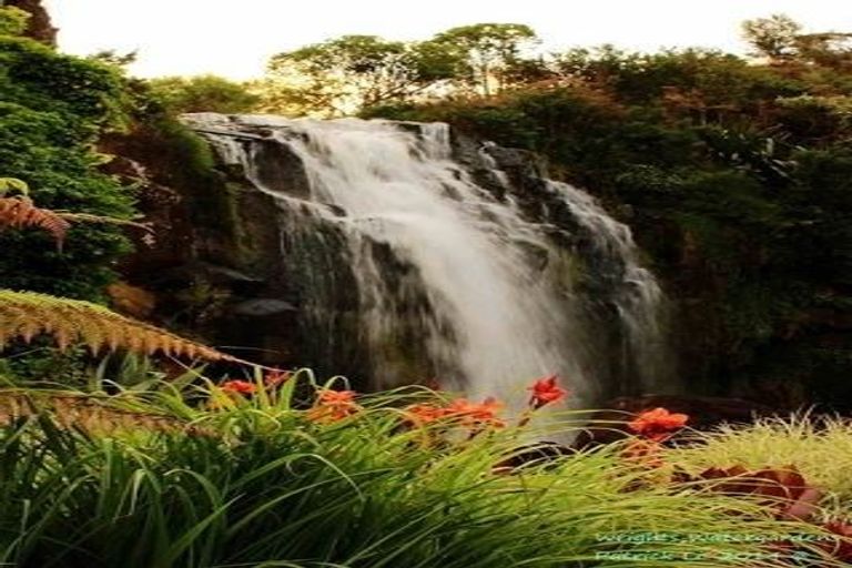 Photo of property in 56 Woodhouse Road, Patumahoe, Pukekohe, 2679