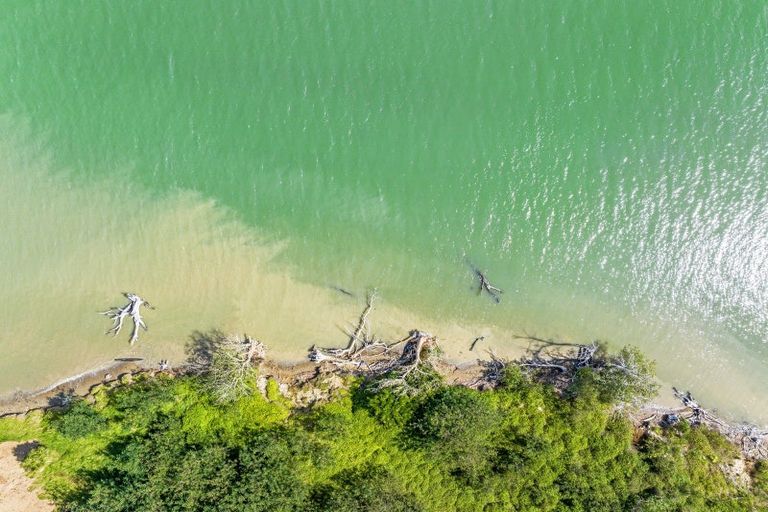 Photo of property in 16a Scott Road, Hobsonville, Auckland, 0616