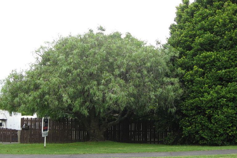 Photo of property in 38 Walter Strevens Drive, Conifer Grove, Takanini, 2112