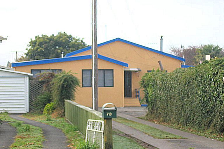 Photo of property in 73 Campbell Street, Frankton, Hamilton, 3204