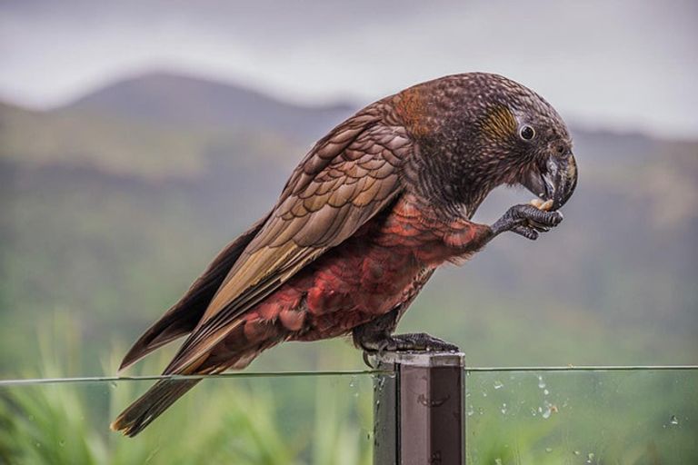 Photo of property in 193 Orangi Kaupapa Road, Northland, Wellington, 6012