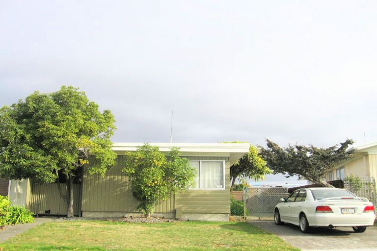Photo of property in 133 Westminster Avenue, Tamatea, Napier, 4112