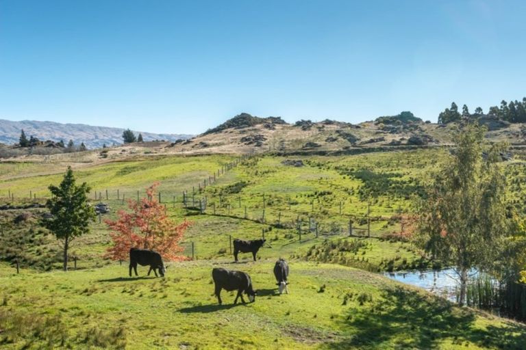 Photo of property in 196 Chapman Road, Earnscleugh, Alexandra, 9391