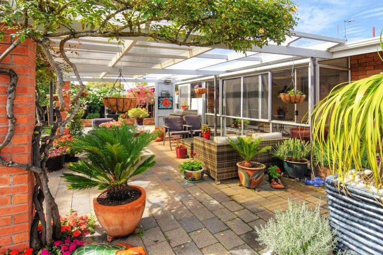 Photo of property in 68 York Street, Solway, Masterton, 5810