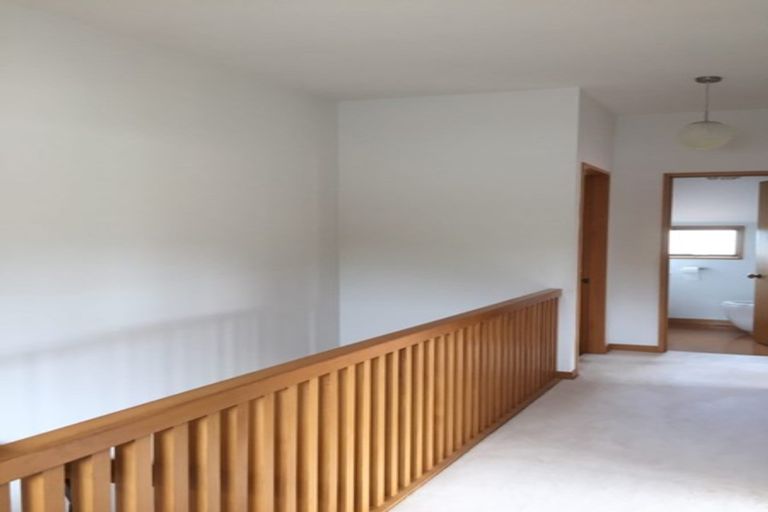 Photo of property in 36 Signal Hill Road, Opoho, Dunedin, 9010