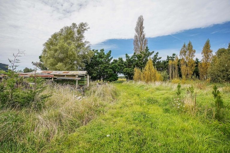 Photo of property in 705 Domett Road, Domett, Cheviot, 7382