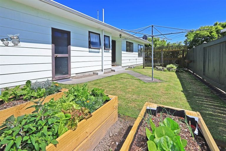 Photo of property in 26 Usherwood Crescent, Akina, Hastings, 4122