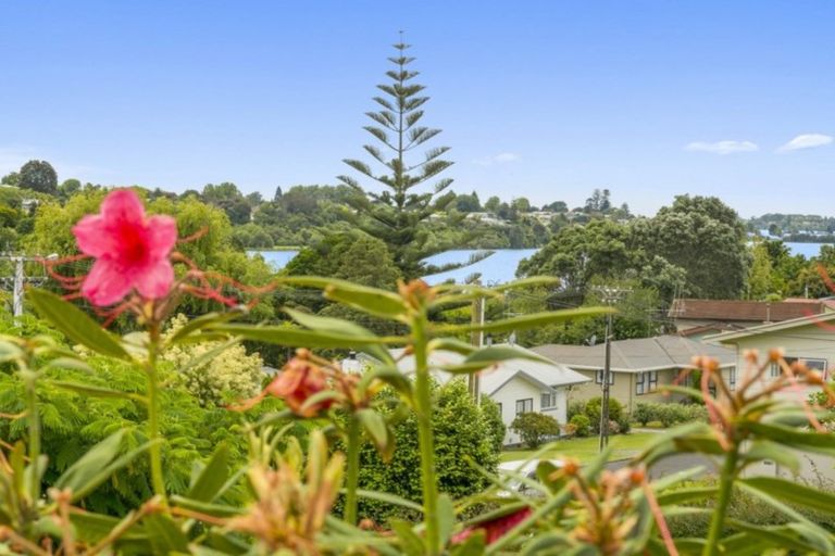 Photo of property in 58b Esk Street, Parkvale, Tauranga, 3112