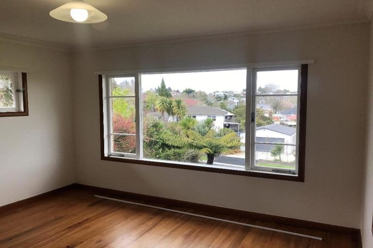 Photo of property in 29 Bretton Terrace, Hillcrest, Hamilton, 3216