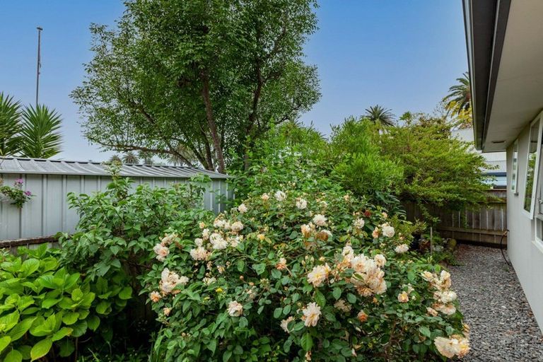 Photo of property in 17a Jull Street, Napier South, Napier, 4110