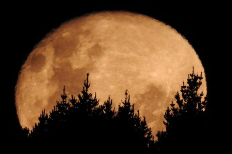 Photo of property in 76 Riwai Street, Paraparaumu, 5032