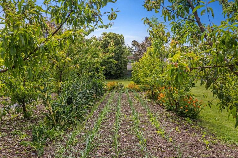 Photo of property in 71 Quayle Street, Motueka, 7120