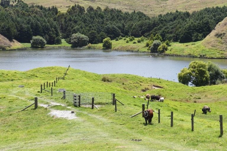 Photo of property in 66 Manu Drive, Kaiwaka, 0573