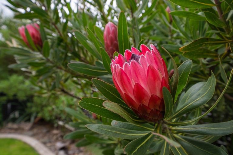 Photo of property in 85 Riverstone Drive, Riverstone Terraces, Upper Hutt, 5018