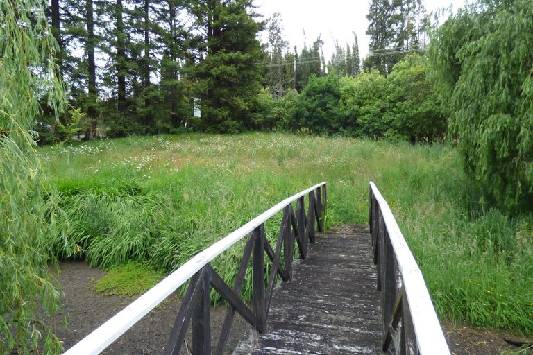 Photo of property in 545a-c Kerikeri Road, Kerikeri, 0293