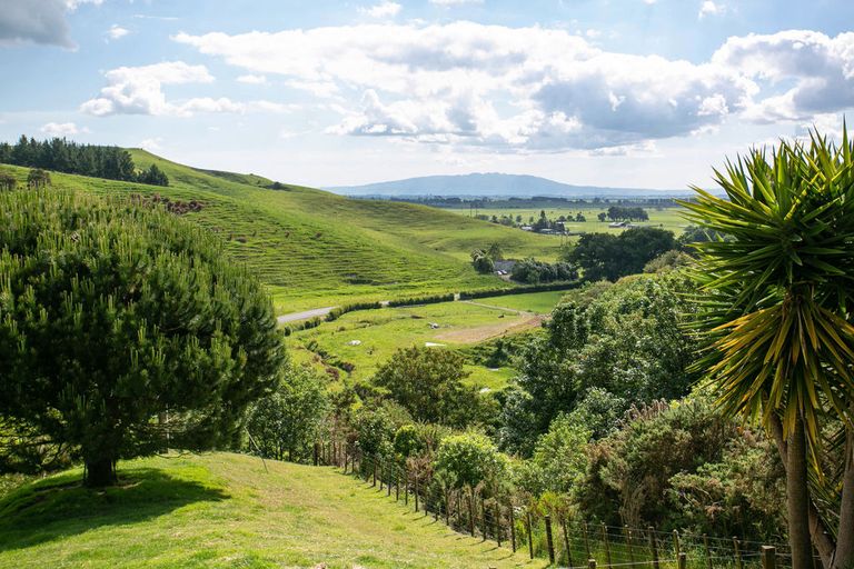 Photo of property in 79 Norwegian Road, Rotoorangi, Cambridge, 3495