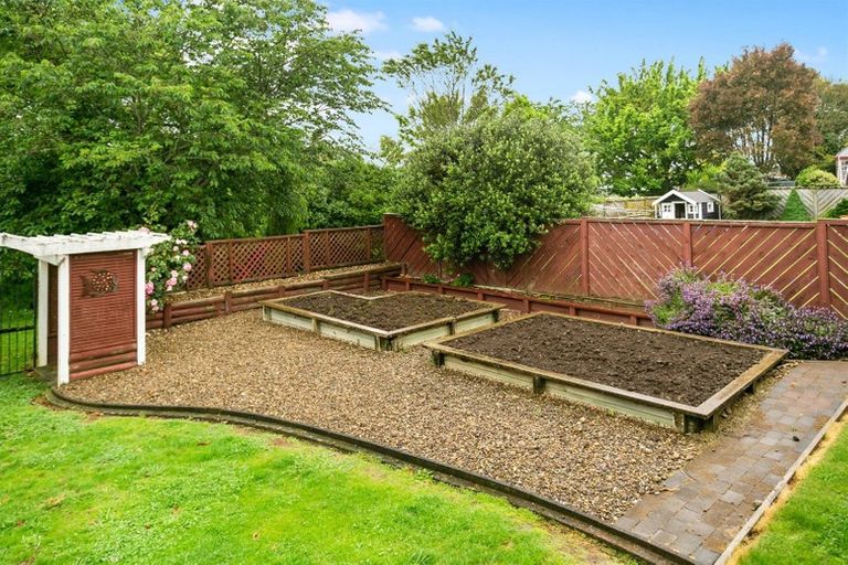 Photo of property in 48 Stirling Drive, Morrinsville, 3300