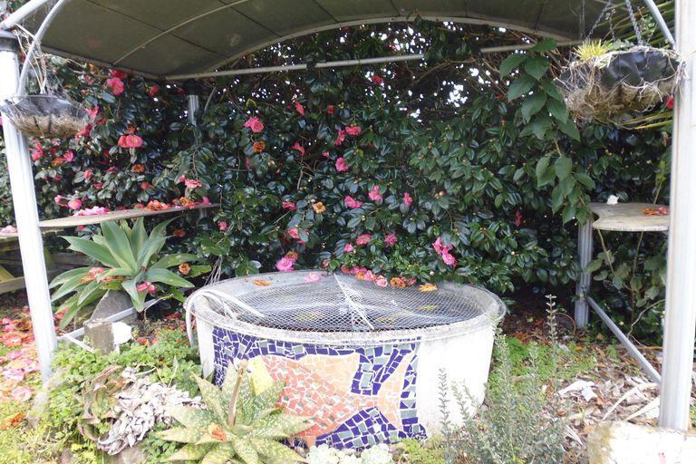 Photo of property in 2 Kowhai Avenue, Edgecumbe, 3120