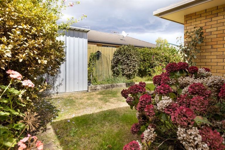 Photo of property in 33b Litchfield Street, Redwoodtown, Blenheim, 7201