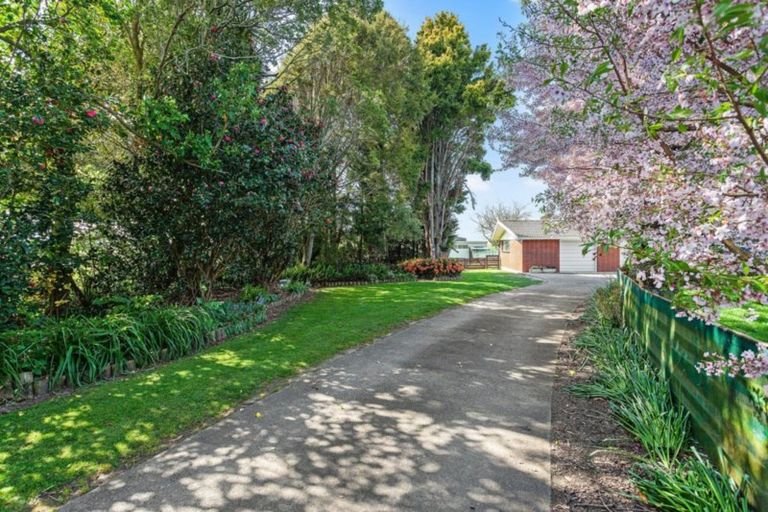 Photo of property in 580 Thornton Road, Thornton, Whakatane, 3194
