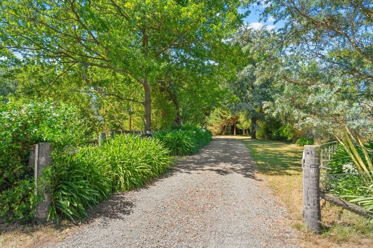 Photo of property in 21 Andrew Street, Kuripuni, Masterton, 5810