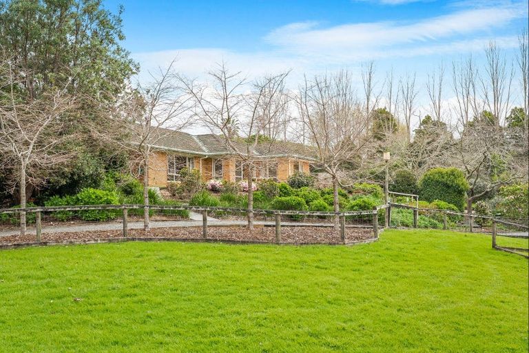 Photo of property in 393 Matakana Valley Road, Matakana, Warkworth, 0985