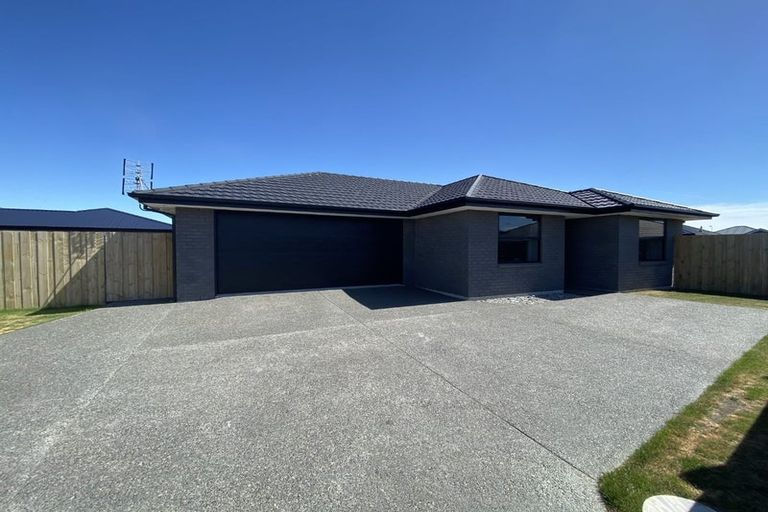Photo of property in 24 Lotus Place, Wigram, Christchurch, 8025