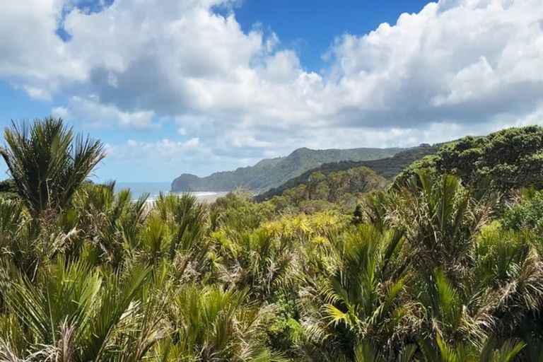 Photo of property in 17 Rayner Road, Piha, New Lynn, 0772